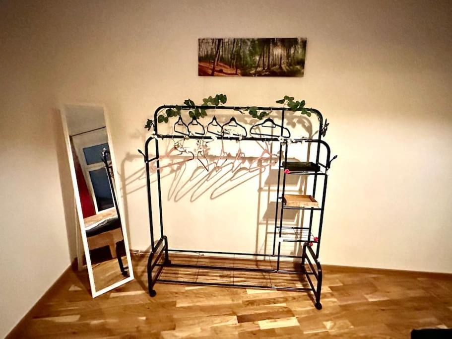Klimatisierter Wiener Altbauflair Im Zentrum Wiens 외부 사진